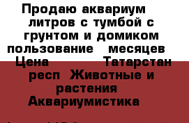 Продаю аквариум 45 литров с тумбой с грунтом и домиком пользование 6 месяцев  › Цена ­ 3 000 - Татарстан респ. Животные и растения » Аквариумистика   
